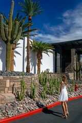 kaktusy i ślubna suknia © DawidFastMan