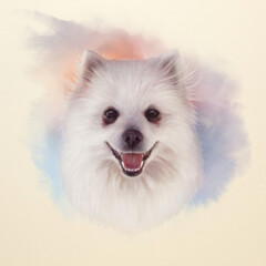 Beautiful white fluffy dog with a smile on watercolor splash background. Samoyed dog portrait. Watercolor Animal collection: Dogs. Realistic art Portrait - Hand drawn Illustration of Pets