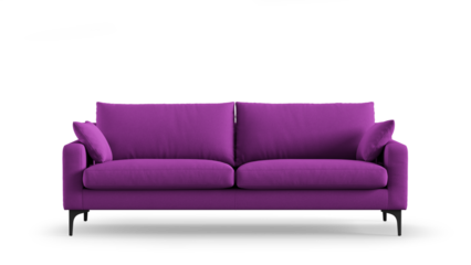 Modern sofa on isolated white background. Furniture for the modern interior, minimalist design.