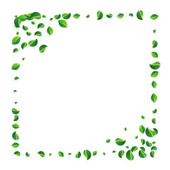 Green Leaf Forest Vector White Background.