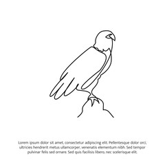 Eagle one continuous line drawing. Cute decoration hand drawn elements. Vector illustration of minimalist style on a white background.