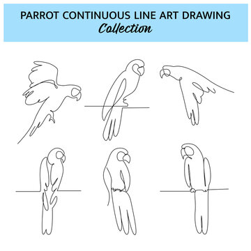 Set of parrot bird one continuous line drawing. Cute decoration hand drawn elements. Vector illustration of minimalist style on a white background.