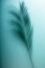 Abstract image of plant shadows on blue surface