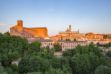 Panoramic view of Siena the Dome and Bell Tower of Siena Cathedral (Duomo di Siena), Basilica of San Domenico, also known as Basilica Cateriniana and ancient houses at sunset lights - obrazy, fototapety, plakaty