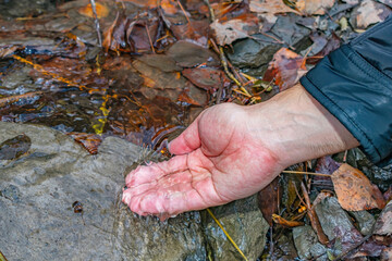 A man washes his hand in a clear autumn stream