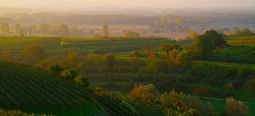 Weinberge Herbst