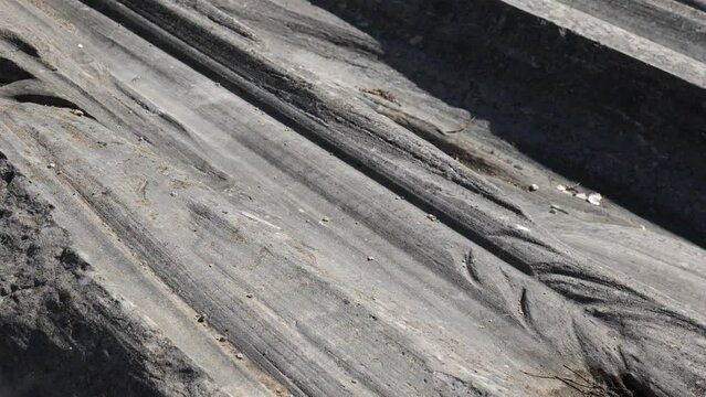 Glacial Grooves On Kelley's Island, Ohio. Limestone Bedrock With Fossils And Deep Grooves Caused By Glacial Activity Around 18,000 Years Ago.