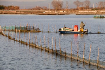 Passeggiando ed ammirando la Laguna di Venezia - Italia