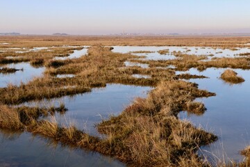 Passeggiando ed ammirando la Laguna di Venezia - Italia