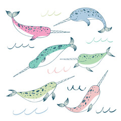 Sea animal narwhal vector illustrations set. © GooseFrol