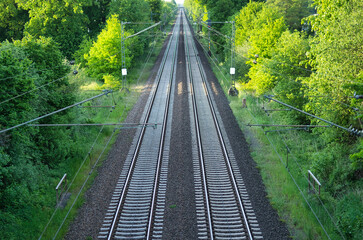 Straight railway line with avenue of trees in nature
