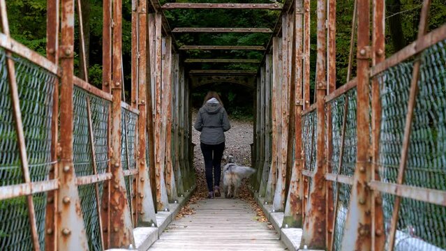 Australian Shepherd dog herding breed canine on a rusty old bridge doing trick training