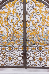 Gates at the Catherine Palace in winter