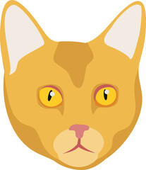Cat icon. Yellow pet face. Kitten head