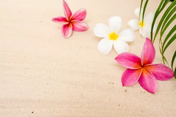 Zelfklevend Fotobehang White and pink plumeria flowers with a green palm leaf on sand background © Phinyaphat Ritthiruangdet/Wirestock Creators
