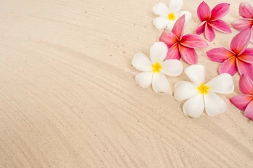 Poster White and pink plumeria flowers on sand background © Phinyaphat Ritthiruangdet/Wirestock Creators