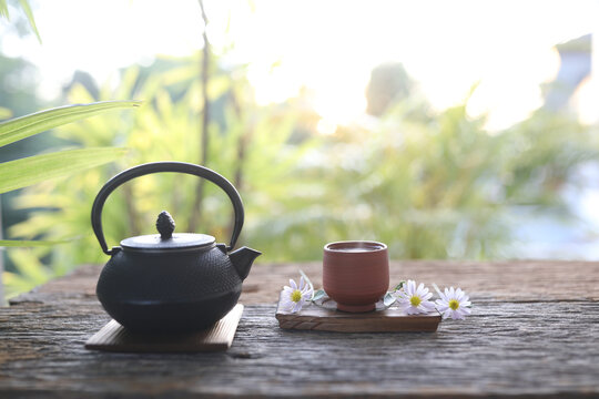 Metal tea pot and tea cup and plant pot on wooden table