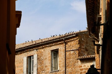 Passeggiando ed ammirando la regione Toscana - Italia