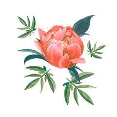 a bouquet of flowers isolated on white background, branches and peony composition ,perfect for cards, prints, postcards, decoration.