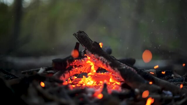 Burning firewood coal ember from a forest campfire. Close up slow-motion low-angle shot, late evening, no people, abstract round bokeh balls flying