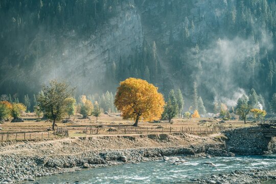 Autumn In Bandipora Kashmir