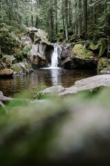 Fototapeta premium Wasserfall im Schwarzwald