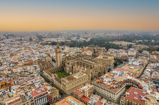 The drone aerial view of Seville Cathedral (Catedral de Santa Maria de la Sede de Sevilla) at sunrise, Seville, Spain.