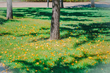 the beginning of autumn