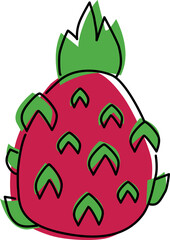 illustration of Pitaya