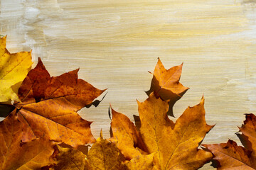 autumn leaves on wooden background