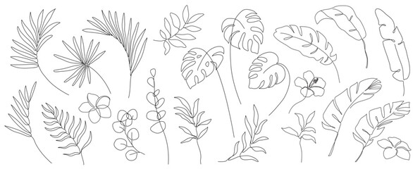 set of one line drawing modern minimalist tropical monstera eucalyptus banana exotic palm leaves branches and flowers silhouette on white background Botanical vector trendy greenery illustratrations - obrazy, fototapety, plakaty