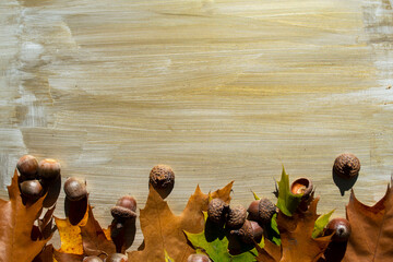 collage of autumn forest