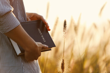 A Christian praying with a holy bible on Thanksgiving Day and the sunset scenery of reeds and barley fields swaying in the autumn sunlight and wind
 - obrazy, fototapety, plakaty