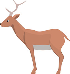 Deer icon. Cute forest animal. Woodland fauna