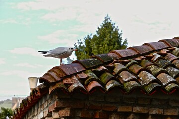 Passeggiando ed ammirando la città di Portogruaro - Italia