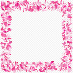 Obraz na płótnie Canvas Color Blossom Vector Transparent Background.