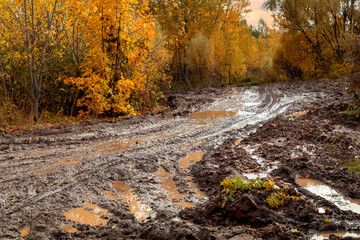 A dirty road impassable from the rain on the background of an autumn landscape