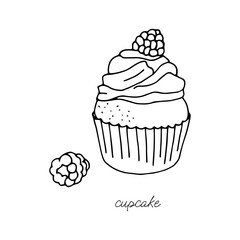 Fresh cupcake with cream decorated with raspberries on a white background black and white