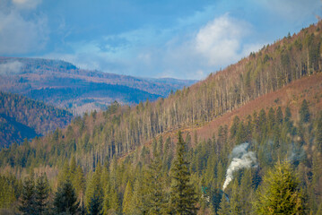 Forest in the mountains in early spring.