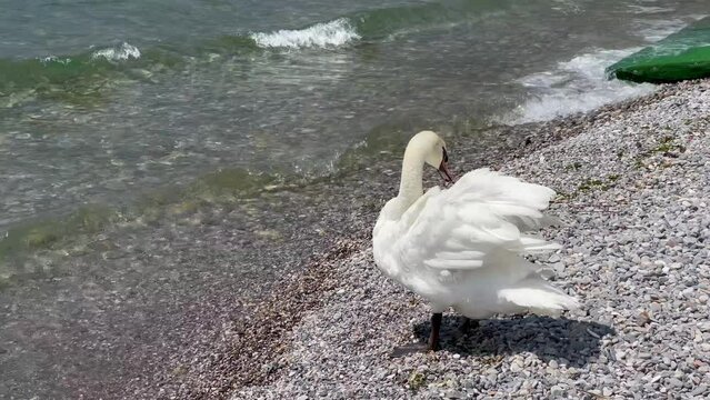 Passeggiando ed ammirando il Lago di Garda - Italia