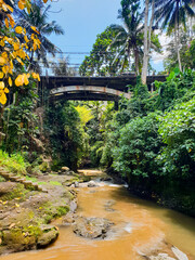 Dirty brown water stream in tropics
