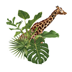 Season Abstract Nature Banner Background. Jungle plants, cartoon giraffe animal. Exotic card element with tropical leaves.	