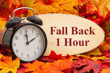 Fall back 1 hour sign with fall leaves