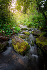 Long exposure picture of mountain stream flows in the forest among mossy rocks in summer