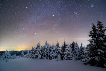 Fototapeta na wymiar the milky way and a myriad of stars above a snow-covered trees on the mountain plateau