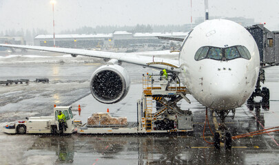 Loading a plane before take off at a airport when snowing