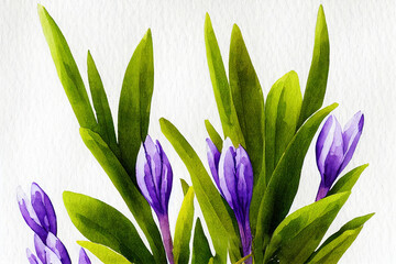 Crocus sativus, commonly known as saffron crocus, or autumn crocus, is a species of flowering plant of the Crocus genus in the iris family Iridaceae.