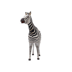 zebra isolated on white