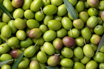 Fresh raw green olives close up full frame as background