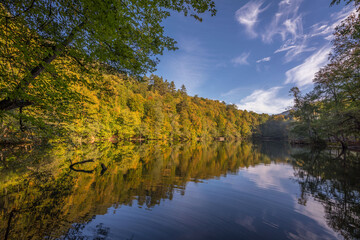 gorgeous lake and reflections in autumn